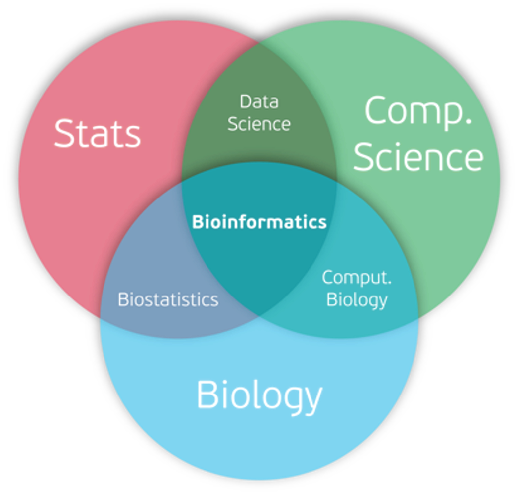 Venn diagram showing how different subfields intersect.