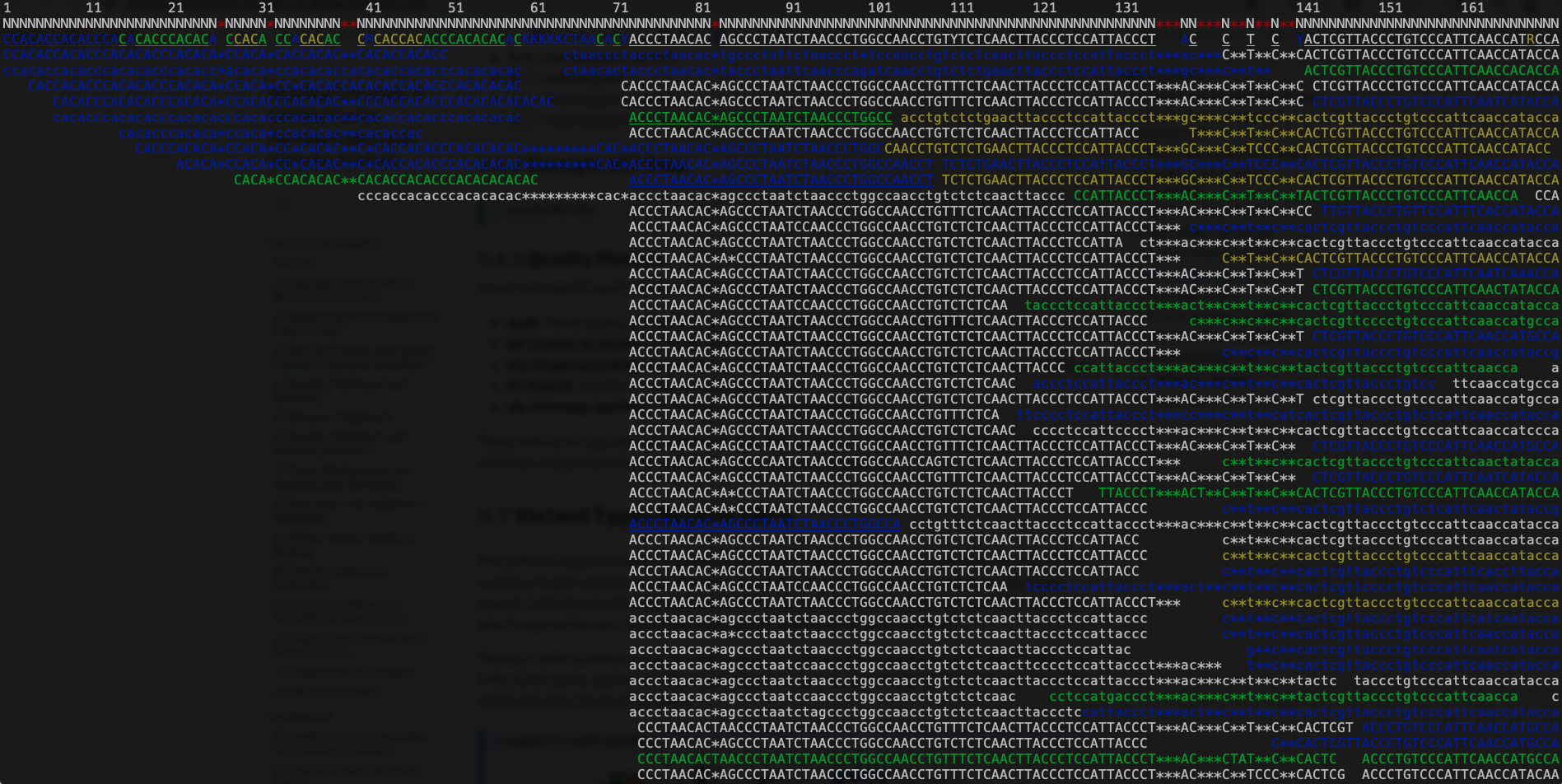 Screenshot of BAM file using samtools tview in terminal.