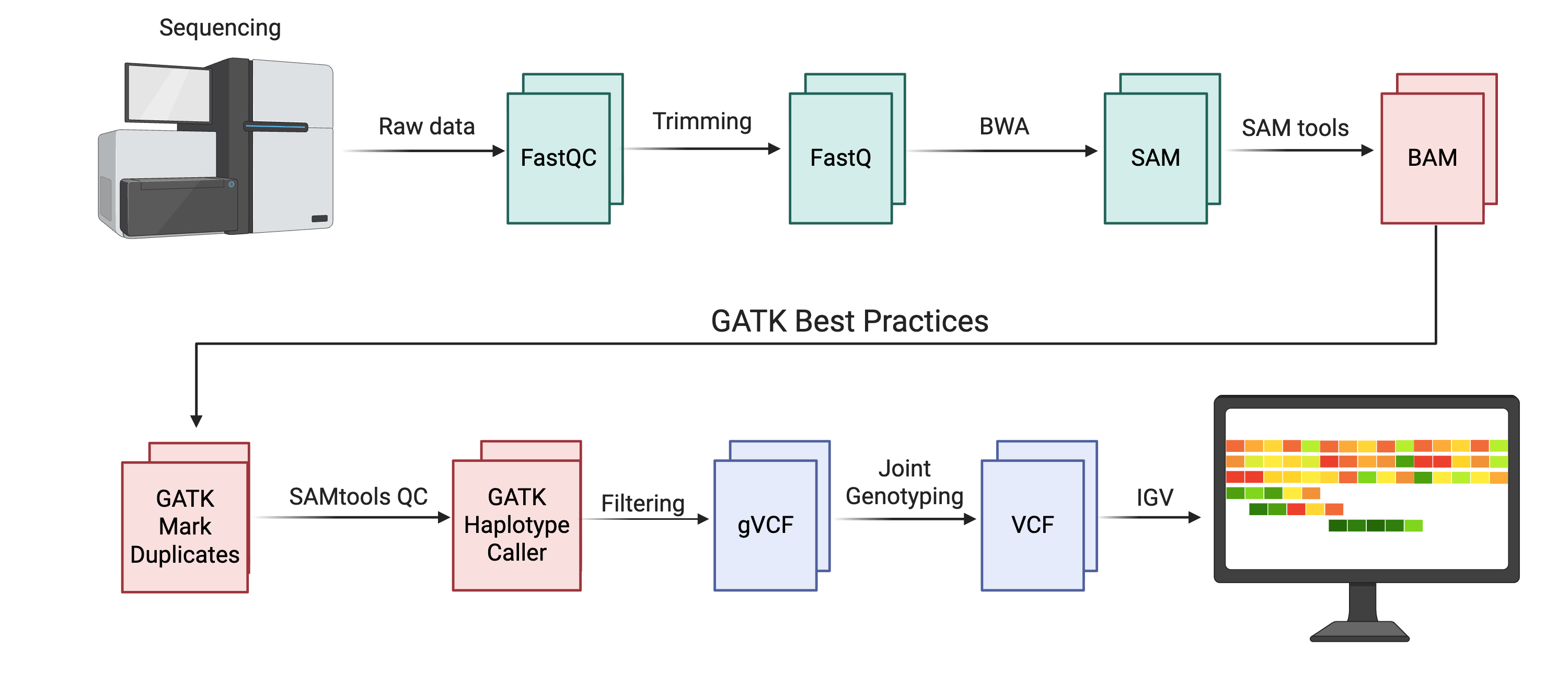 Schematic of an NGS analysis workflow from sequencing instrument through FastQC, trimming, alignment with BWA, BAM generation, GATK-based post-processing, HaplotypeCaller, gVCF, joint genotyping, variant filtering, and final visualization in IGV.