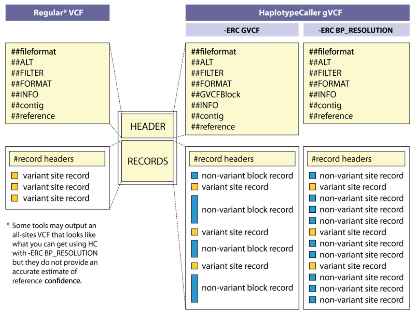 Diagram showing how HaplotypeCaller in gVCF mode encodes long stretches of homozygous-reference sequence as single non-variant blocks interspersed with individual variant records, suitable for joint genotyping downstream.
