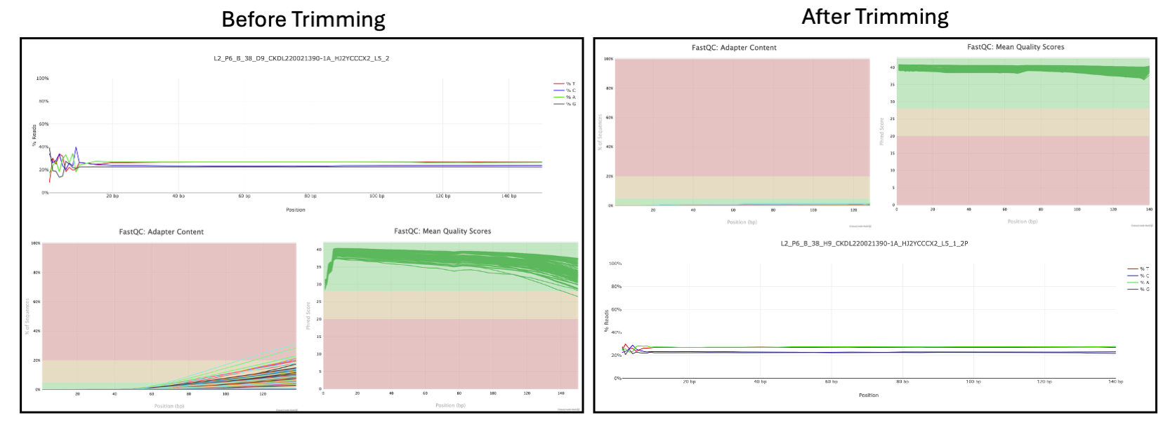 Plots of FastQC results before and after trimming.