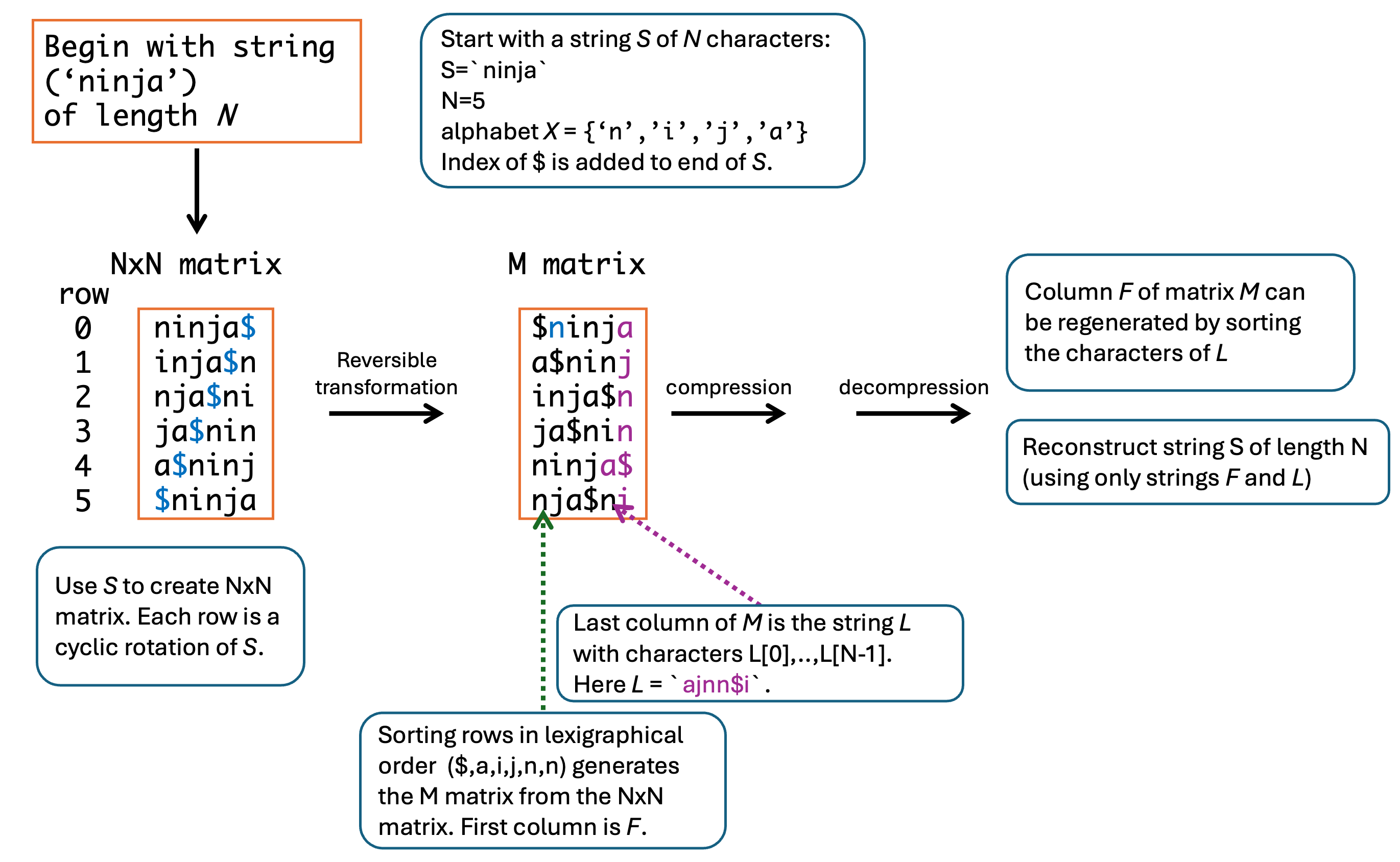 Diagram showing how a string is converted into a matrix of cyclic rotations, sorted lexicographically, and transformed into the Burrows–Wheeler matrix.