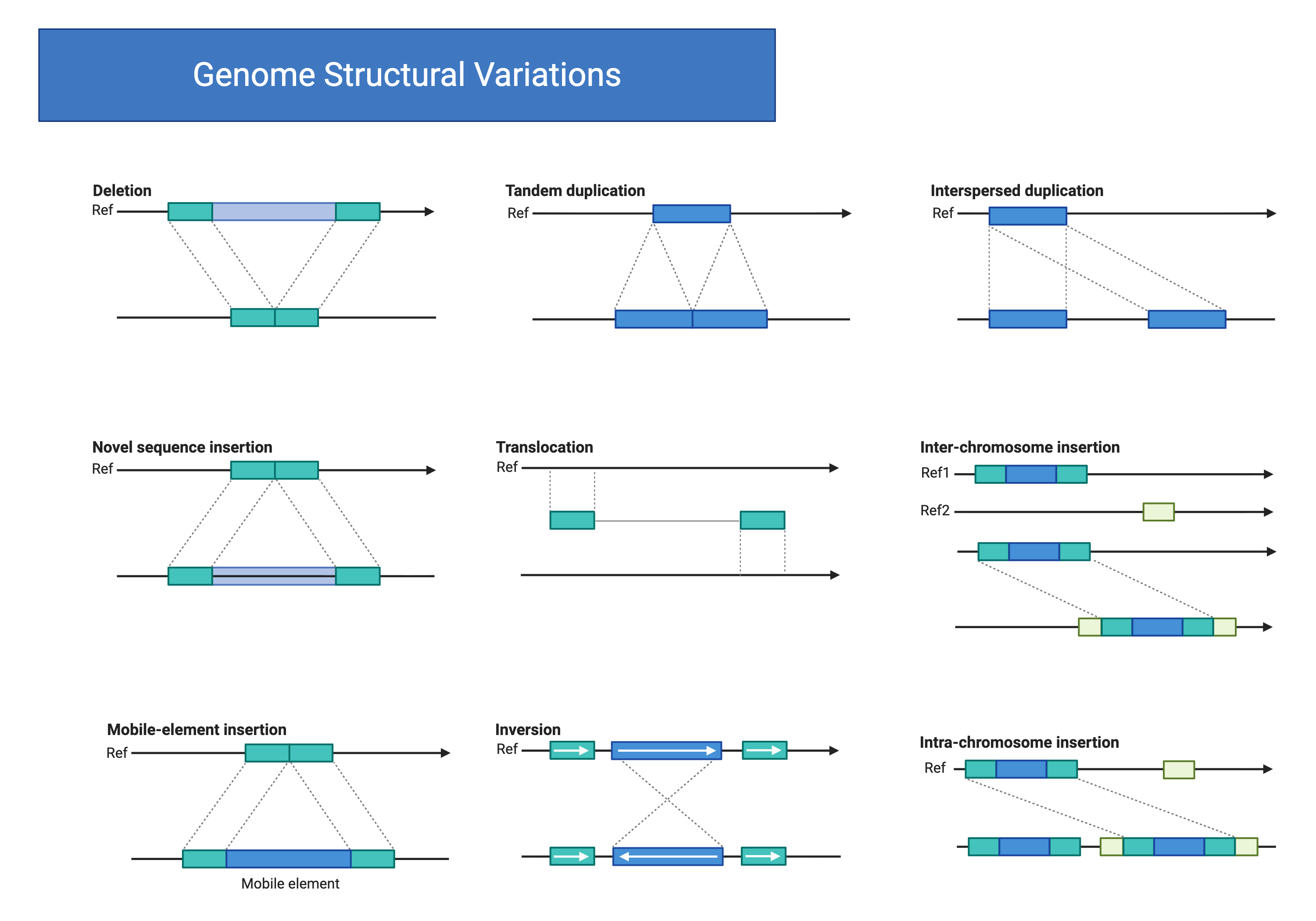 Nine panels illustrating different classes of genome structural variation. Each panel shows a reference chromosome with colored blocks representing genomic segments, and a second chromosome with segments rearranged, duplicated, deleted, or inserted to depict deletions, tandem duplications, interspersed duplications, novel sequence insertions, translocations, inter-chromosome insertions, mobile-element insertions, inversions, and intra-chromosome insertions.