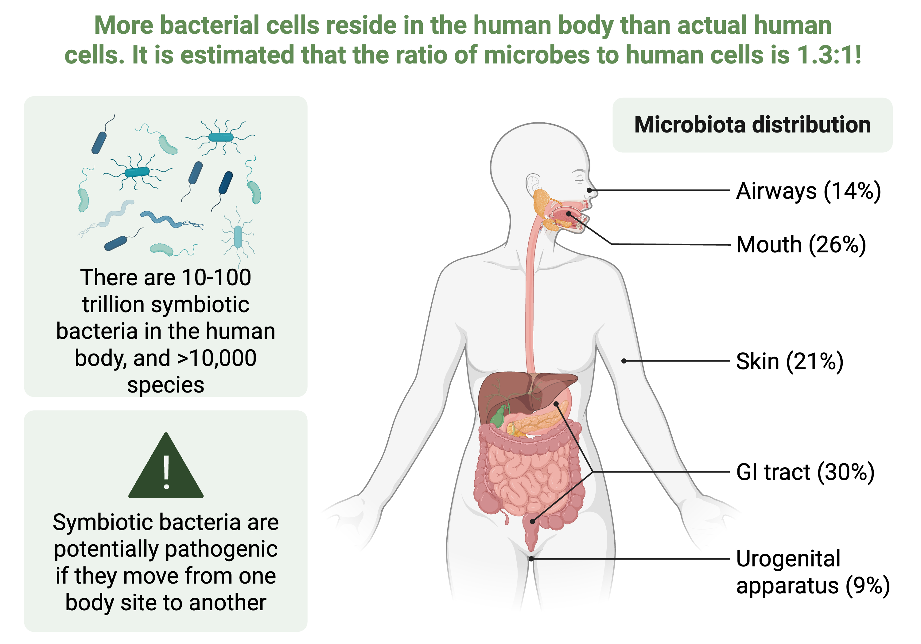 An anatomical diagram of the human body showing microbiota distribution across five major body sites: airways (14%), mouth (26%), skin (21%), gastrointestinal tract (30%), and urogenital apparatus (9%). The left side includes text noting that 10-100 trillion symbiotic bacteria reside in the human body representing over 10,000 species, and a warning that symbiotic bacteria can become pathogenic if they move from one body site to another.