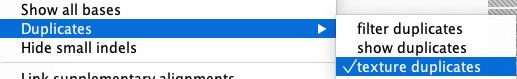 Screenshot of IGV dropdown menu for adding texture to duplicate reads.