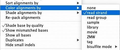 Screenshot of IGV dropdown menu showing how to color alignments by read strand.