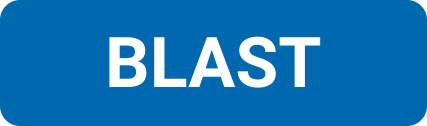 BLAST tool button.