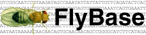 Logo for FlyBase