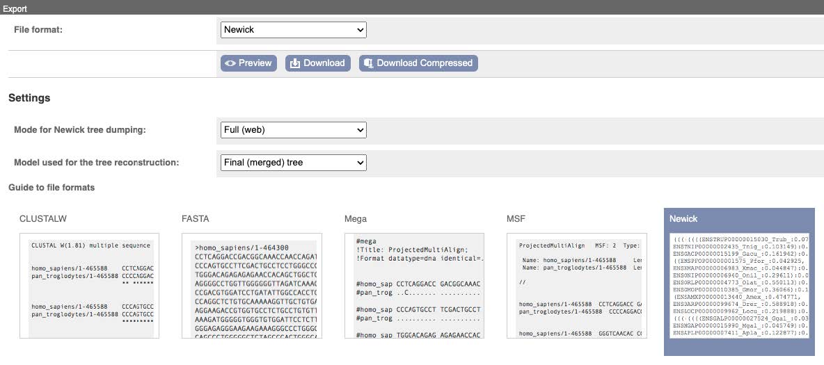 An image of Export Menu for exporting Newick files.