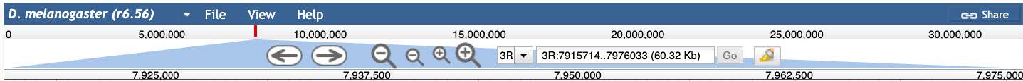 View of the top of the Browser Window.