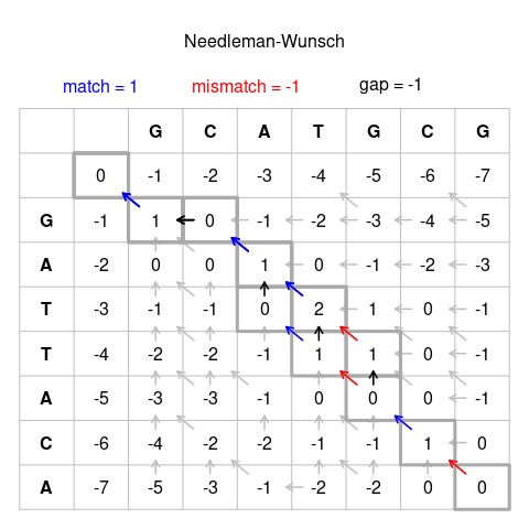 Needleman-Wunsch pairwise alignment matrix for two DNA sequences, showing the scoring grid, traceback path, and the placement of gaps to produce a global alignment.
