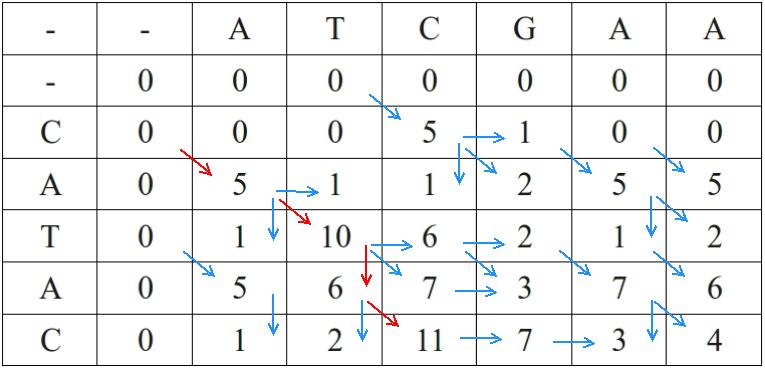 Smith–Waterman example matrix showing the highest-scoring local alignment region within two sequences.
